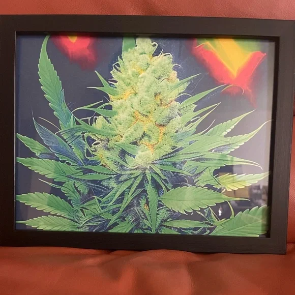 Pop Art Digital Framed Cannabis Plant - Picture 1 of 3
